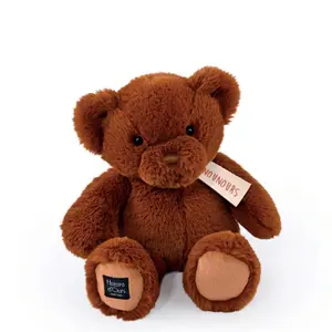 Teddy Bear Histoire d'Ours image-0