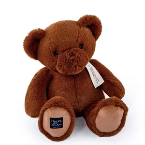 Teddy Bear Histoire d'Ours image-0