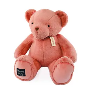Teddy Bear Histoire d'Ours image-0