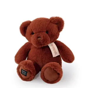 Teddy Bear Histoire d'Ours image-0