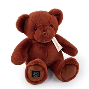 Teddy Bear Histoire d'Ours image-0