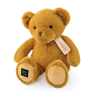 Teddy Bear Histoire d'Ours image-0