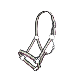 Cavezza HKM Genf image-0