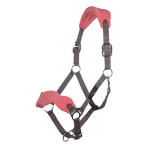 Horse Headcollar with Lead Rope and Fly Fringe HKM image-2