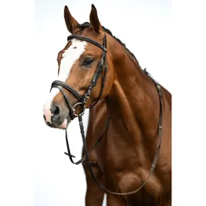 Bitless bridle for horses HKM Jana image-1