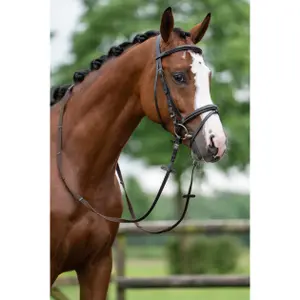Bitless bridle for horses HKM Jana image-2