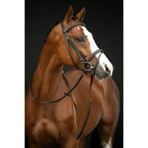 Bitless bridle for horses HKM Jana image-4