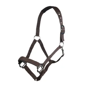 Halter for horse HKM Sydney image-0
