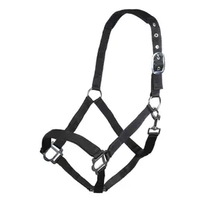 Halter for horse HKM Sydney image-0