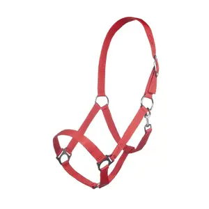 Nylonhalfter Pferd HKM Brisbane image-0
