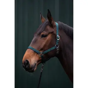Nylonhalfter Pferd HKM Brisbane image-1