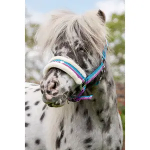 Halfter für Pferd Pelz HKM Funny Horses image-1