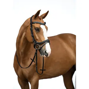 Bitless bridle for horses HKM Anatomic image-1