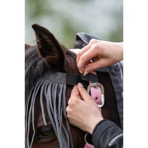 Frontal anti-vlieg voor paard anti fly HKM image-1