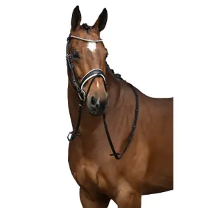Cabeçada sem freio para cavalos HKM Flora image-1