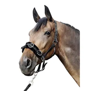 Polsternder Nylonhalfter für Pferd HKM Kate image-1