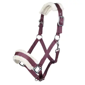 Bont halster voor paard HKM Bischofshofen image-0