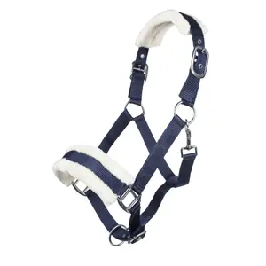 Bont halster voor paard HKM Bischofshofen image-0
