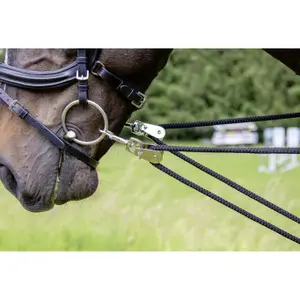 Hoofdbeschermer voor paard HKM image-2