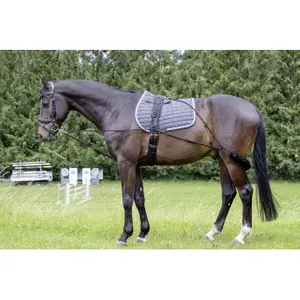 Hoofdbeschermer voor paard HKM image-0