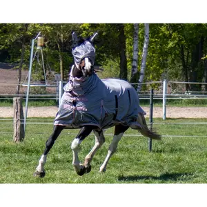 Fly Blanket with neck cover HKM image-2