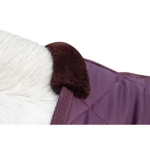 Stable Blanket HKM Winter 150g image-2