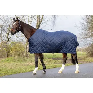Stable Blanket HKM Winter 150g image-1