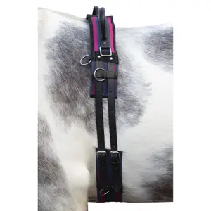 Horse surfboard with handle HKM Canvas