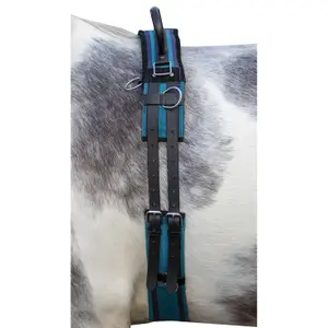 Horse surfboard with handle HKM Canvas