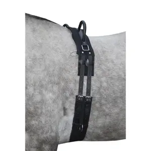 Horse surfboard with handle HKM Canvas
