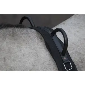 Horse surfboard with handle HKM Canvas image-1