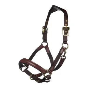 Leather and Nylon Headcollar for Horse HKM Luna image-0