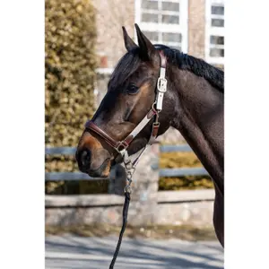 Leather and Nylon Headcollar for Horse HKM Luna image-1