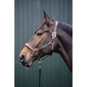 Leather and Nylon Headcollar for Horse HKM Luna image-1