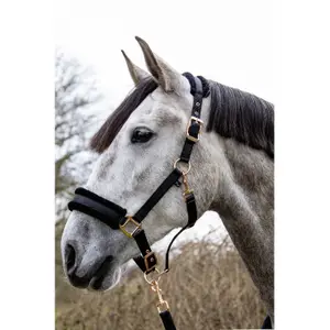 Halster voor paarden HKM Rosegold Glamour image-1