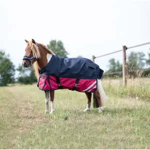 Outdoor  Blanket HKM Mini 600D image-0