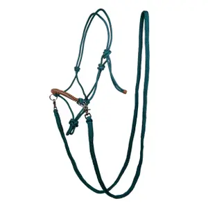 Headcollar and Lead Rope Set for Horse with Reins HKM Deko image-0