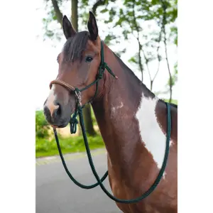 Headcollar and Lead Rope Set for Horse with Reins HKM Deko image-1