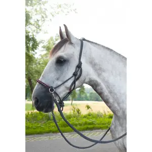 Zadel en longe set voor paard met teugels HKM Deko image-2