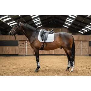 Dressage saddle pad for horses HKM Glitter Mesh image-4