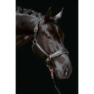 Lederhalfter für Pferde HKM Rosegold image-1