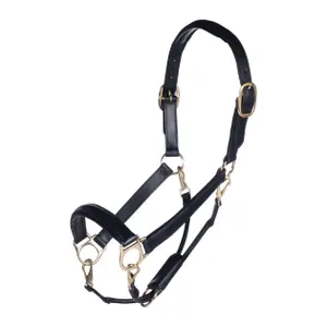 Leather halter for horse HKM