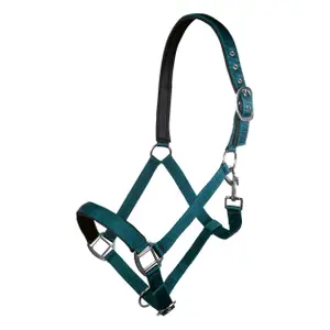 Nylon halster voor paard met zachte voering HKM Charming image-0
