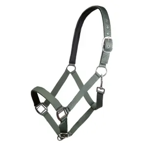 Nylon halster voor paard met zachte voering HKM Charming image-0