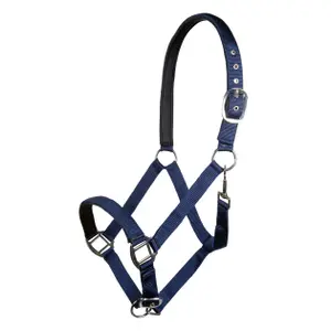 Licol de nylon para cavalo com forro suave HKM Charming image-0