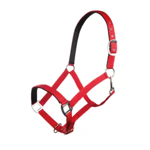 Nylon halster voor paard met zachte voering HKM Charming image-0
