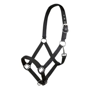 Nylonhalfter für Pferde mit weichem Futter HKM Charming image-0