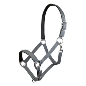 Nylon halster voor paard met zachte voering HKM Charming image-0