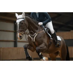 Hunting collar for horse HKM Cambridge image-2