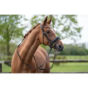 Bitless bridle for horses HKM Fleur image-4